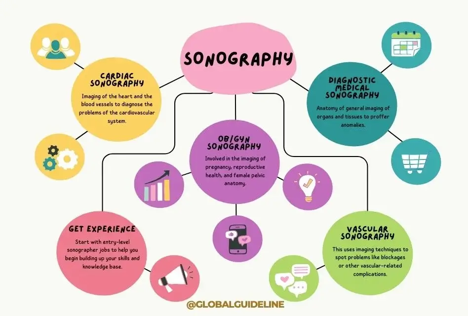 How to Become a Sonographer in the USA