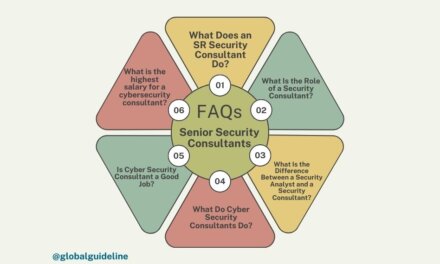 Basic 5 Risks Without a Senior Security Consultant – Commercial Assurance