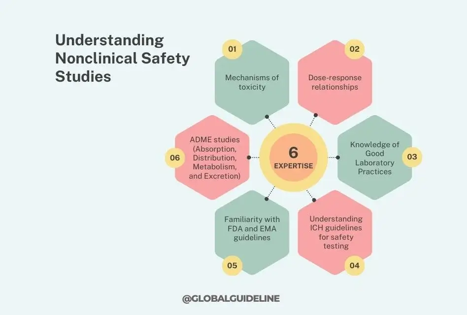 Understanding Nonclinical Safety Studies