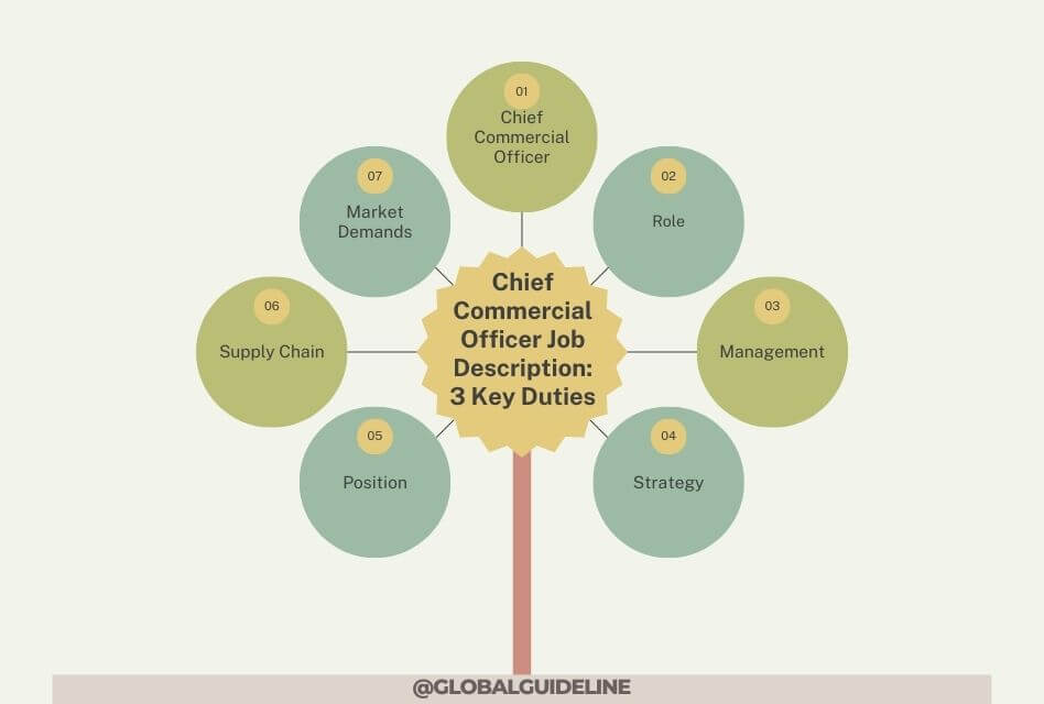 Chief Commercial Officer Job Description 3 Key Duties