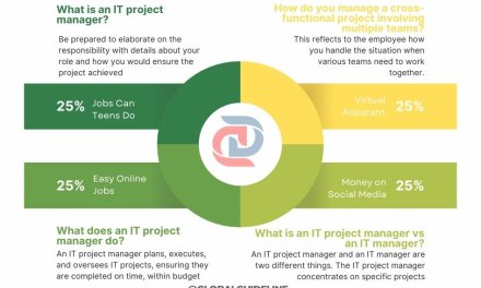 3 Benefits of a Disco IT Project Manager in the USA