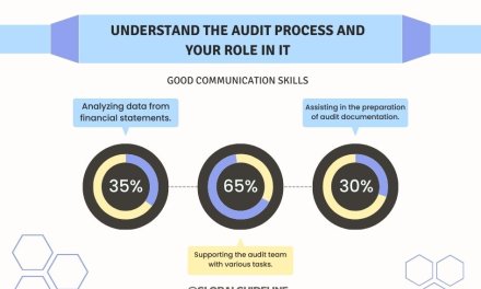 5 Things to Know for Audit Intern Success in the USA