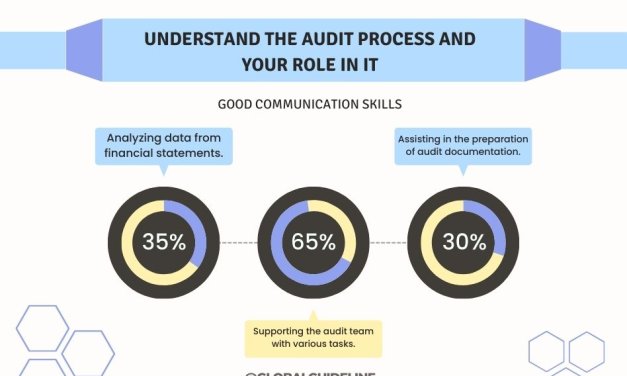 5 Things to Know for Audit Intern Success in the USA