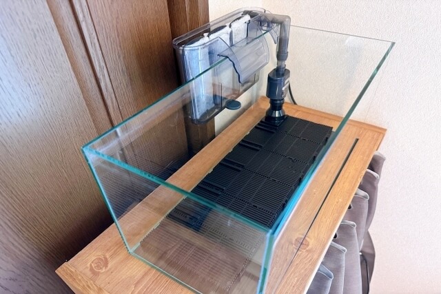 木棚に置かれた空の水槽