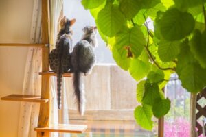 キャットタワーの処分・捨て方7選！ゴミの分類と費用相場・寿命を解説