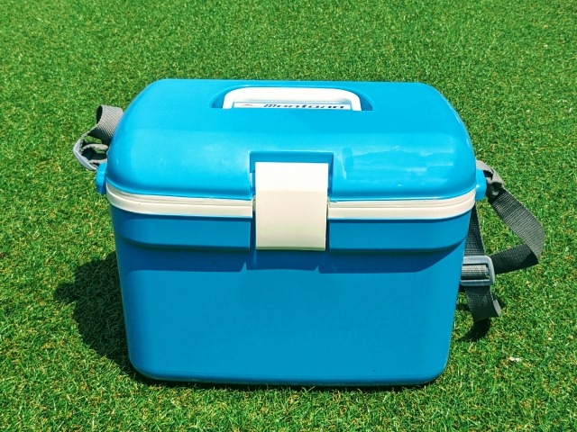 芝生に置かれた青いクーラーボックス