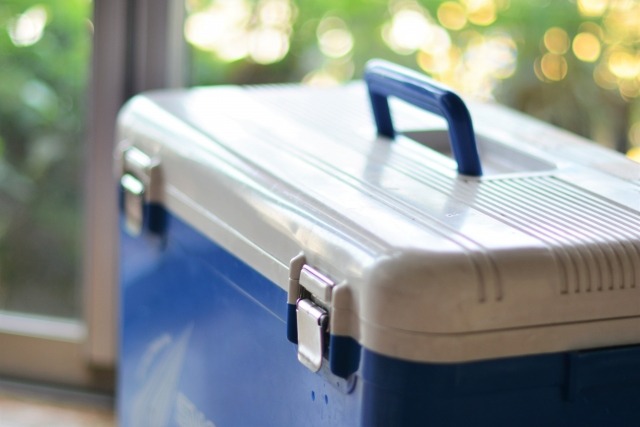 森の中に置かれたクーラーボックス