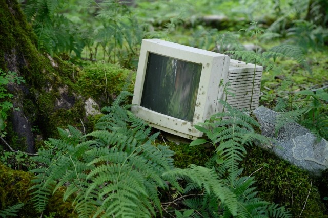 森に捨てられたテレビ
