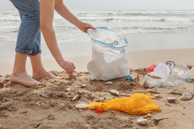 海岸に打ち上がったゴミを回収している様子