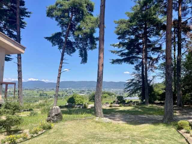 見晴らしの良い庭に生えた巨木