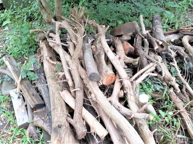 切断して置かれた庭木の枝と幹