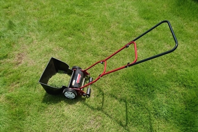 刈った芝生が溜まった芝刈り機