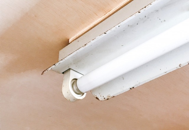 古い照明器具に設置された蛍光灯